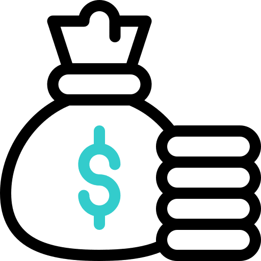 money-bag